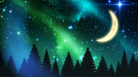 Animación-De-Luna-Y-Estrellas-En-El-Cielo-Nocturno-Y-El-Bosque