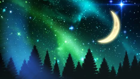 animation of moon and stars in night sky and forest