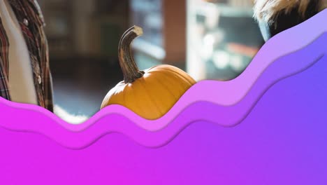 Animation-of-purple-waves-over-couple-holding-pumpkin