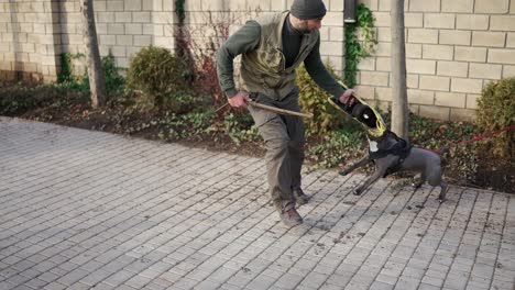 perro citólogo corriendo y mordiendo la mano del criminal durante el entrenamiento