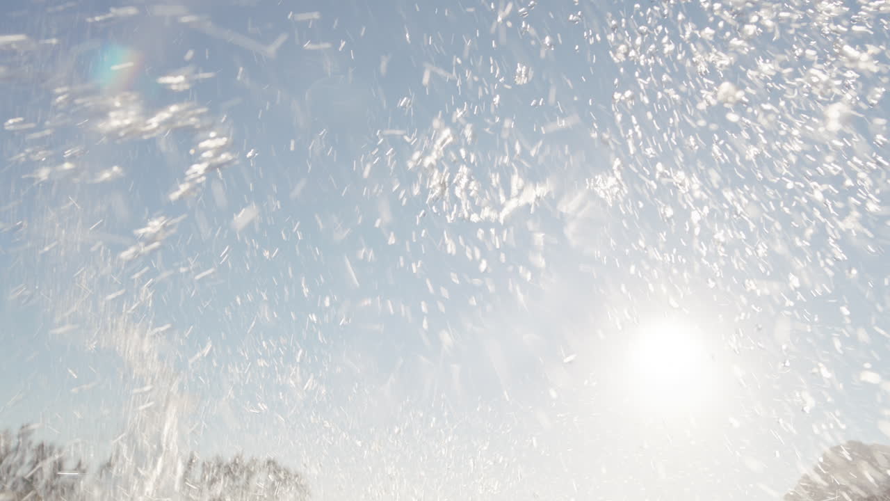 한 무리의 친구들이 달려서 해가 지면 호수에 있는 부두에서 뛰어내려서 즐겁게 물에  ⁇ 어서 자유를 즐기며 여름 모험을 나누고 있습니다.