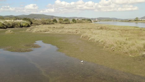 Drone-flyover-Marshland-landscape,-beautiful-environment-scene