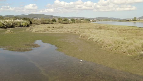 drone sobrevuelo paisaje de pantano, hermosa escena del medio ambiente