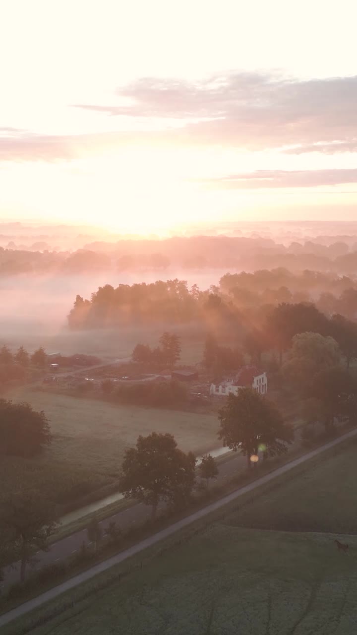 네덜란드 시골에서 안개가 가득한 해가 뜨고