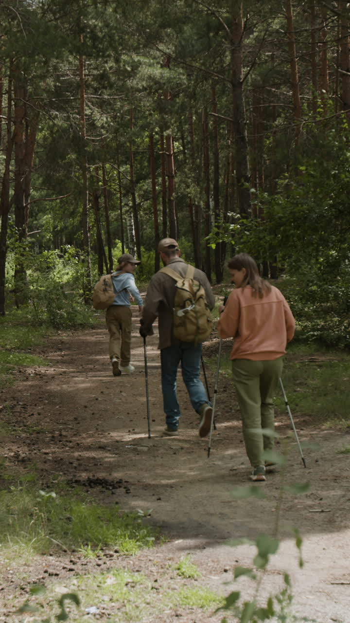 excursionismo familiar en el bosque