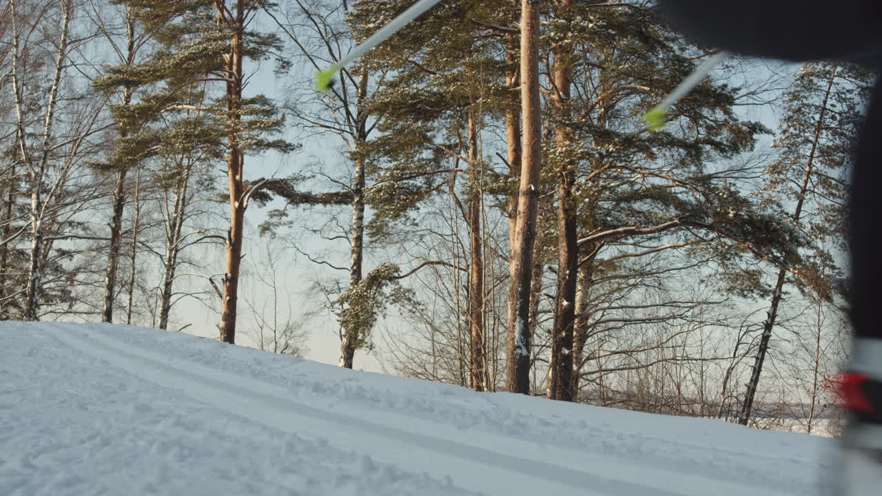 esquí de fondo en un bosque nevado