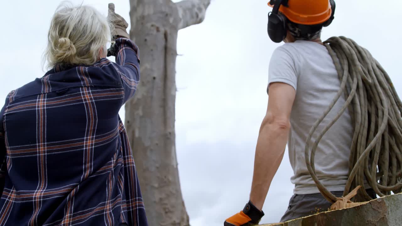 나무 4k를 자르기 전에 서로 상호 작용하는 lumberjacks