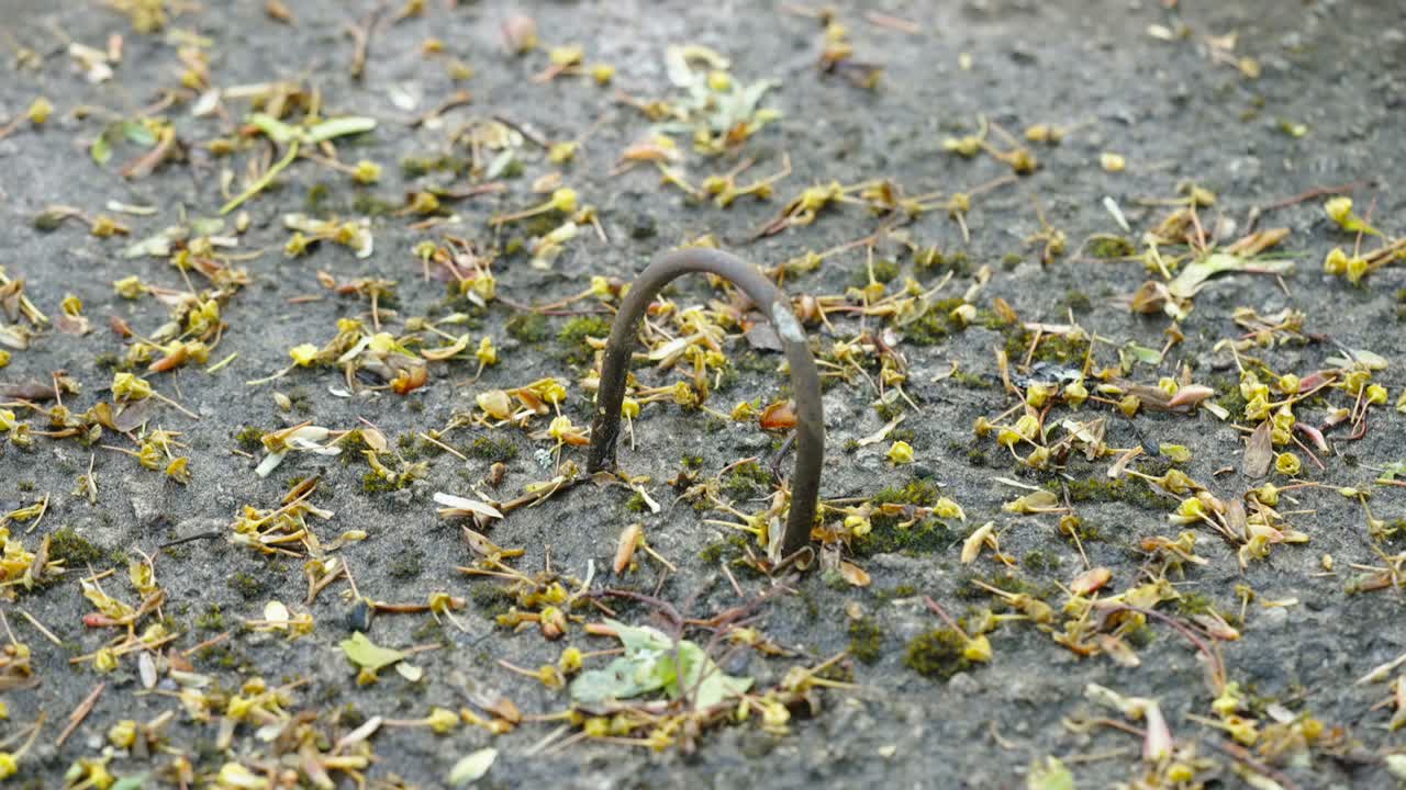 una mirada más cercana a la tapa del pozo de agua en estonia