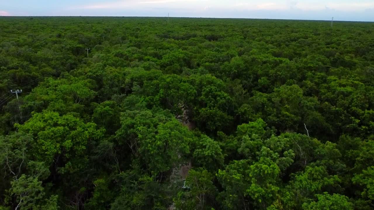High panoramic view over the jungle and with a big blue sky in Quintana Roo.