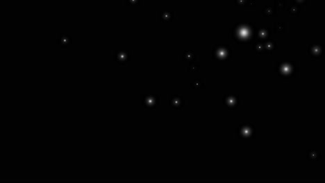 lleno de luciérnagas y luces en fondo negro