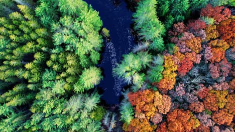 Aerial-drone-video-footage-of-a-colorful-autumn-forest,-pond,-and-pine-trees-in-the-Appalachian-mountains