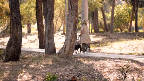 mujer madura elegante paseando al perro en el parque en otoño
