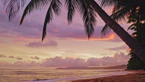 medium shot of amazing colorful sunset with palm view and fluffy clouds in tambor, costa rica