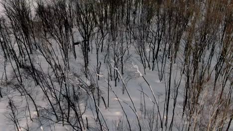 4K-Drohnenaufnahmen-Des-Skigebiets-Niseko-In-Japan-Schwenken-Nach-Oben-Und-Geben-In-Einer-Filmreifen-Luftaufnahme-Zur-Goldenen-Stunde-Den-Blick-Auf-Schneebedeckte-Berge-Frei