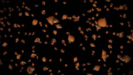 volando muchas bellotas de otoño en fondo negro. símbolo de la caída, nueces de roble, regalos de la caída. animación 3d de semillas de bellota girando. animación de bucle.