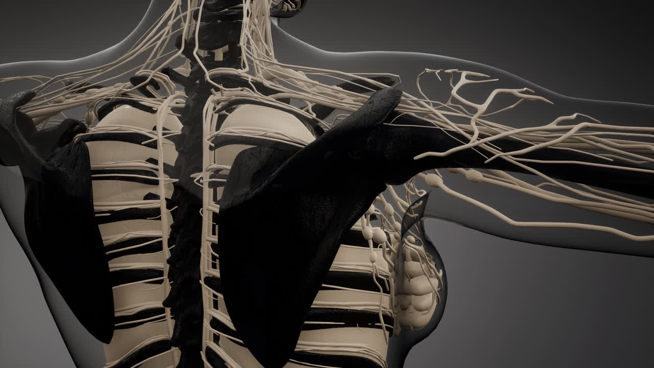 눈에 띄는  ⁇ 가 있는 투명한 인간 몸