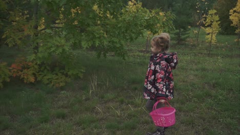 niña con una canasta rosa en el bosque de otoño