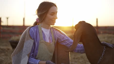 young blonde woman strokes and feed from hands cute yeanling on local farm