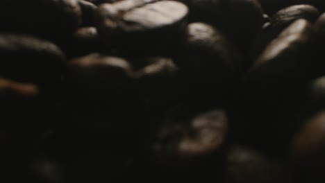 close up slider shot that is emerging from a pile of roasted coffee beans.