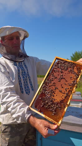 beekeeper on a farm. portrait of an apiarist with frame full of bees. farmer showing frame with honeycomb on the apiary in summer. vertical video