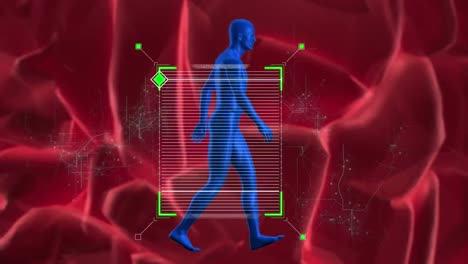 animation of lines in square over human representation and brain against nerves system