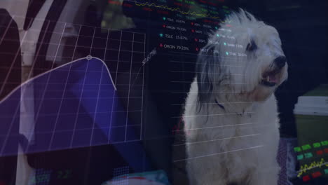 stock market charts drifting over business suit in car, with fluffy dog, coffee in flat design
