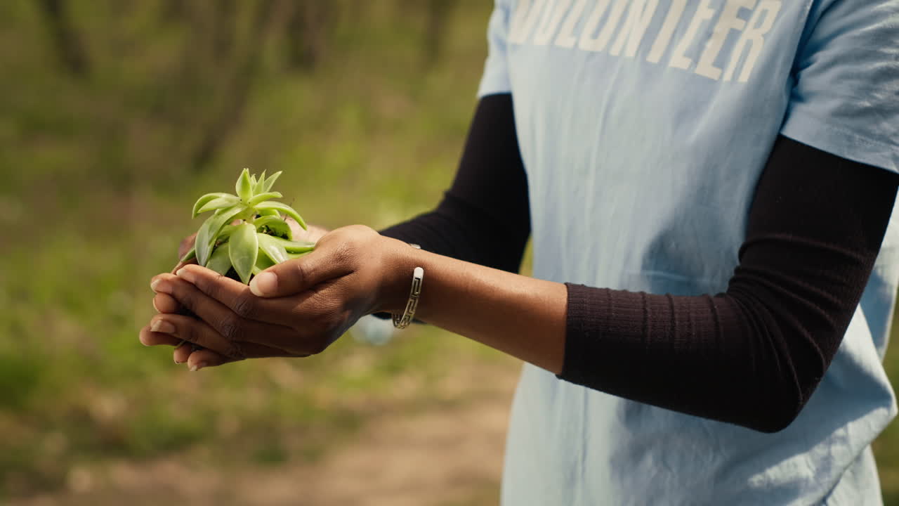 joven voluntaria afroamericana sosteniendo una pequeña planta en sus manos