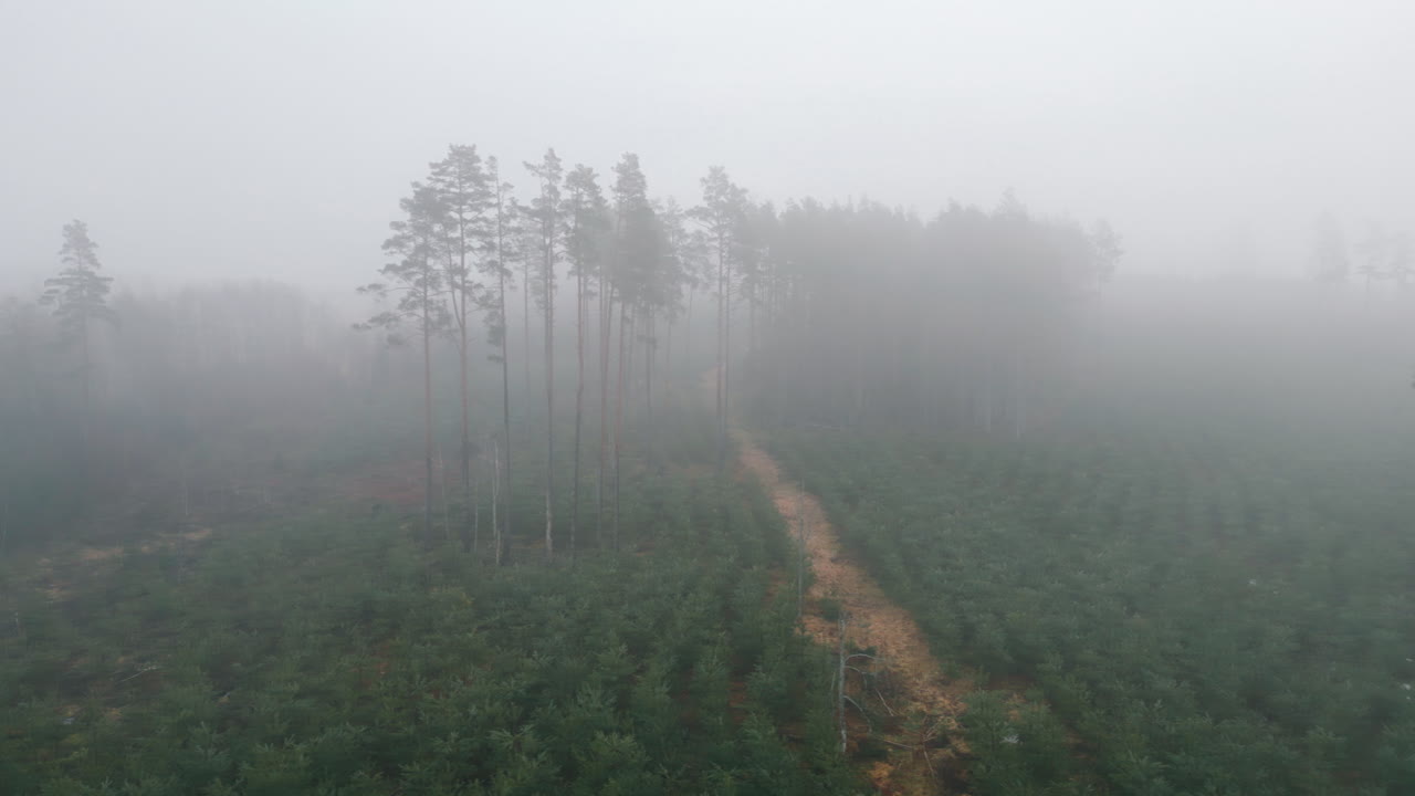 2 월 라트비아의 valdemārpils