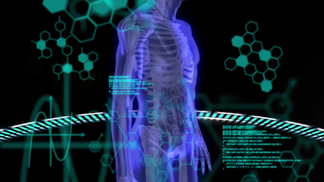 인간의 몸 위에서 과학적 데이터 처리의 애니메이션
