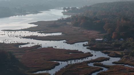 drone shot of a bay area in long island new york in the fall