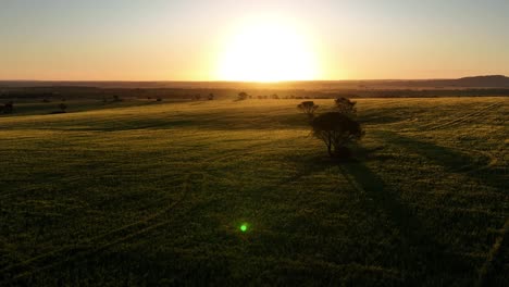 puesta de sol sobre el campo de la izquierda a la derecha de la pista del dron