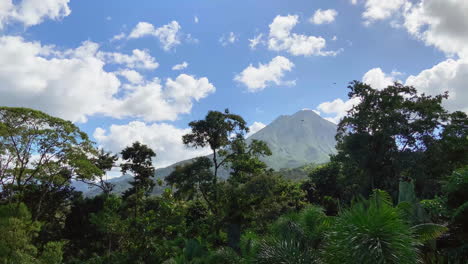 wide shot of lush rainforest on a sunny day with the arenal volcano in the background