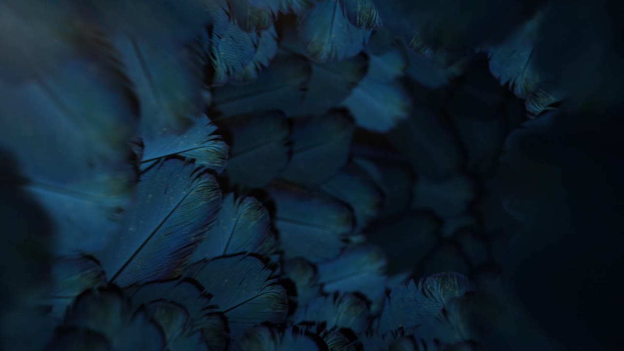 Nature Leaf Tunnel Animation Loop