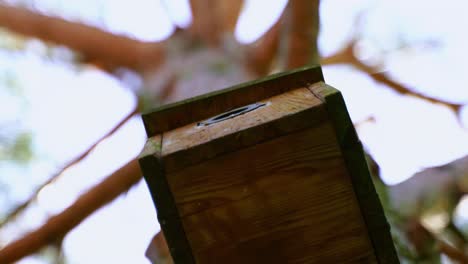 wooden bird house on a tree from below with a fly in front of it