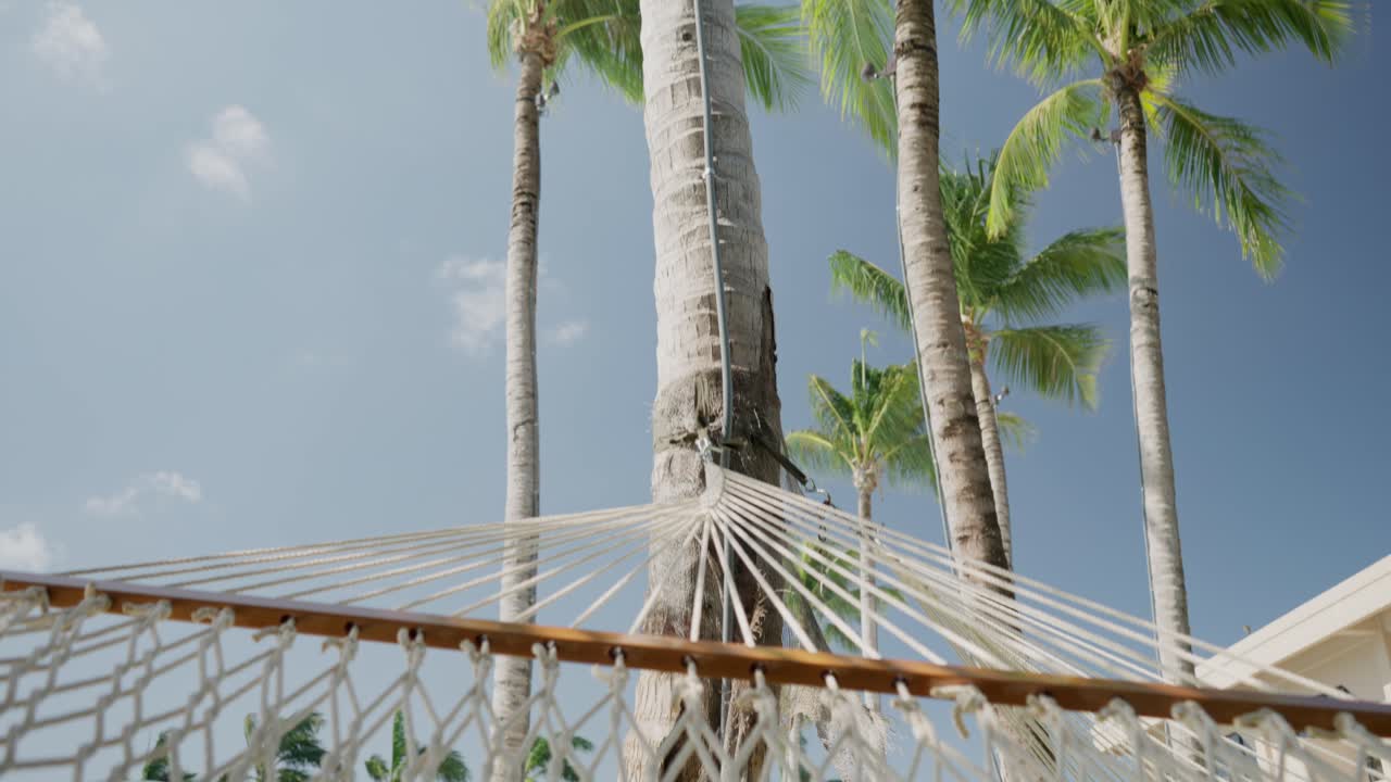 disparo de una hamaca atada a una palmera durante el verano en una isla tropical