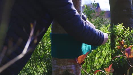 Close-up-of-man-putting-tree-protector-for-slack-lining-onto-silver-birch-tree