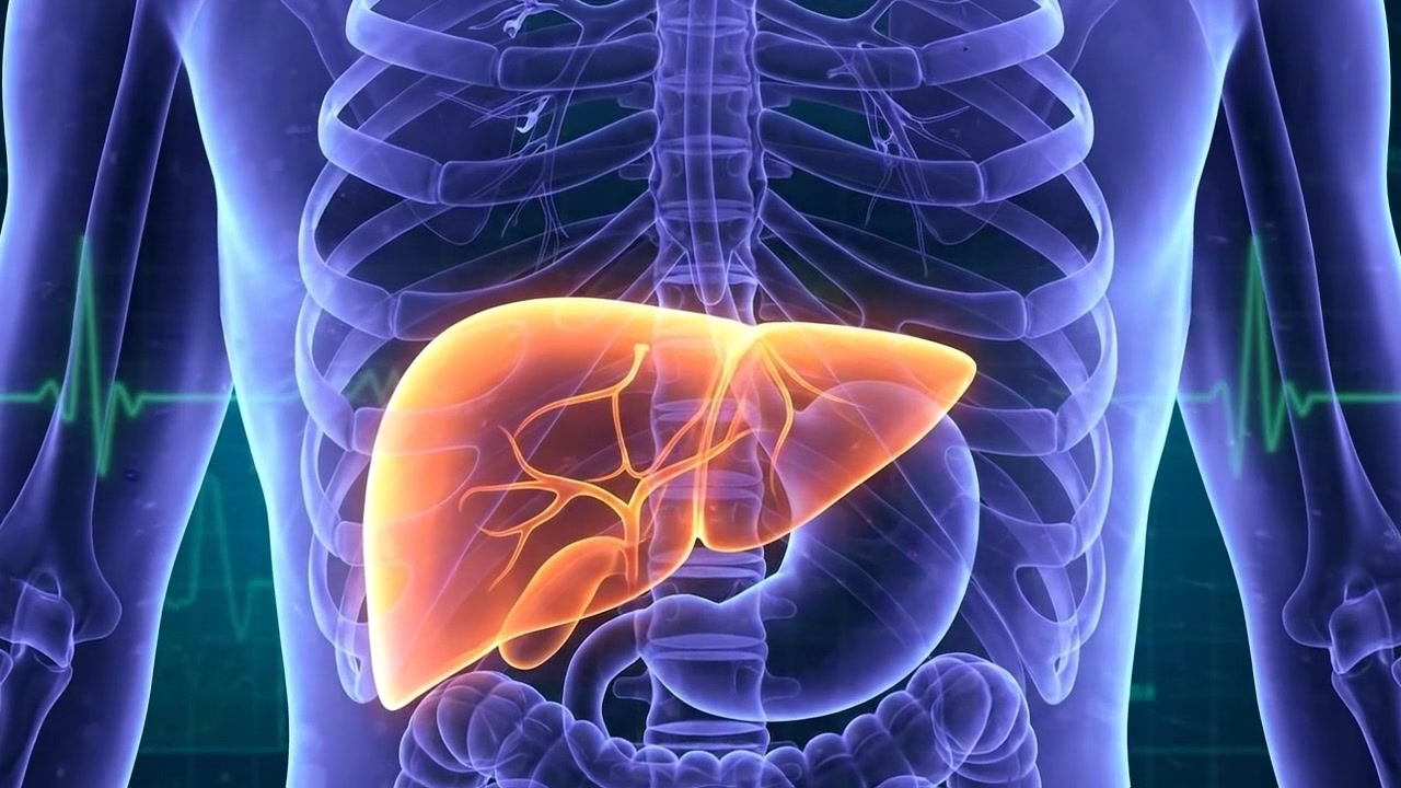 Glowing digital medical scan of human liver