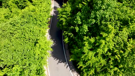 coches que pasan por una carretera verde de montaña en las montañas apuseni