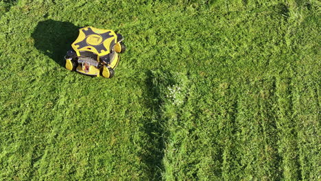 aerial view of remotely controlled lawn mower in green grass on sunny summer day