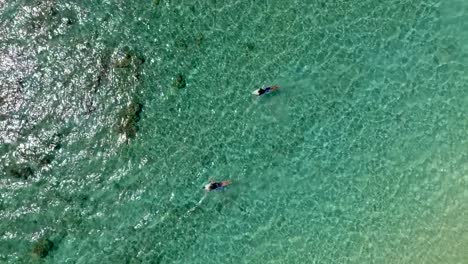 Surfers-paddling-in-crystal-clear-water,-Hermitage-Reunion-island