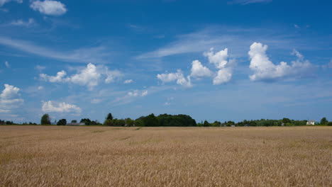 Zeitraffer-Einer-Szene-Mit-Weizenfeld-Und-Wolken-Am-Himmel