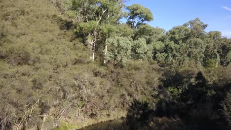 río que fluye a través de un valle en las estribaciones de las montañas