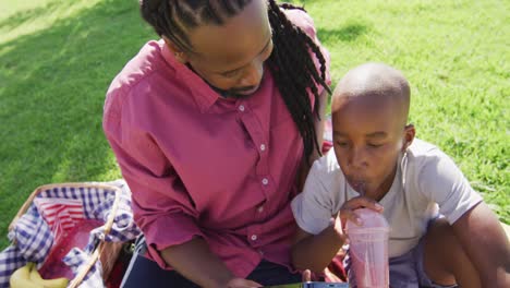 Video-of-happy-african-american-father-and-son-having-picnic-outdoors-and-taking-selfie