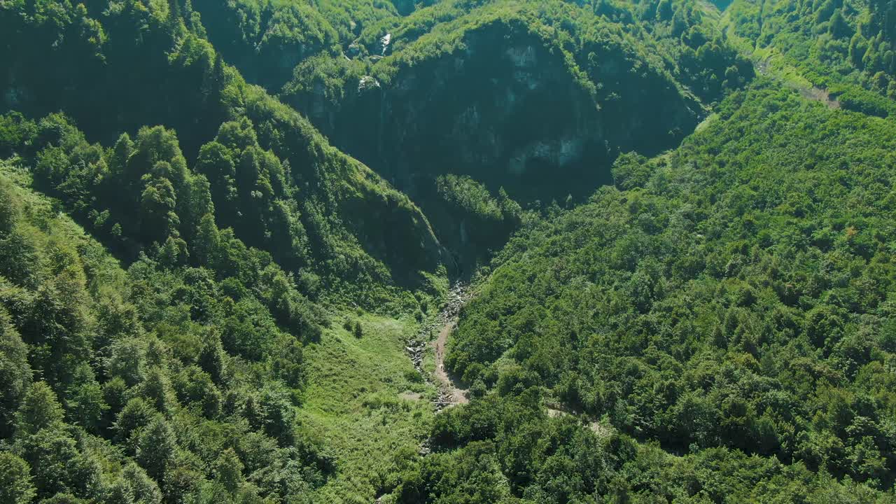 valle de montaña con bosque exuberante