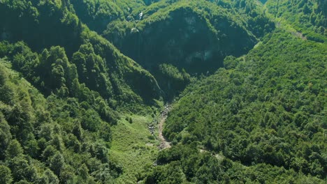 mountain valley with lush forest