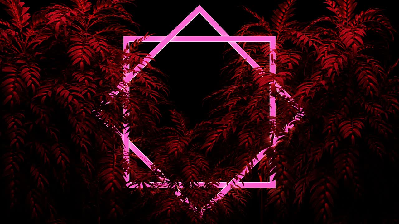 색의 네온 백라이트 에 있는 초록색 잎