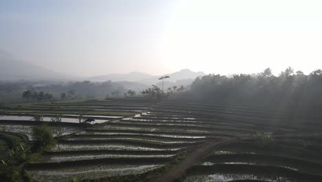 Aerial-view,-the-morning-view-of-the-terraced-rice-fields-in-the-Kajoran-district-of-Magelang