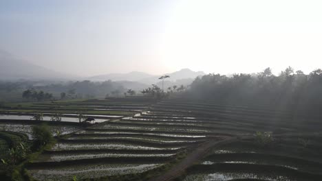 Vista-Aérea,-La-Vista-De-La-Mañana-De-Los-Campos-De-Arroz-En-Terrazas-En-El-Distrito-Kajoran-De-Magelang