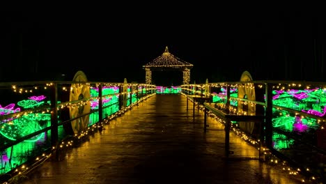 4KHD-Christmas-2020-Botanical-Garden-Okinawa-Japan-30