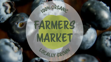 animation of 100 percent farmers market locally grown text banner against close up of blue berries